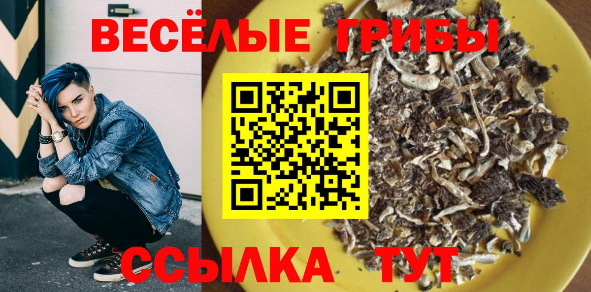 Галлюциногенные грибы Psilocybine cubensis  Вход с VPN  Ступино 